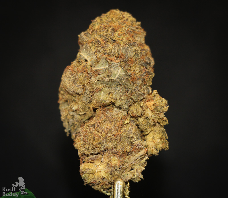 Buy Purple Space Cookies Online – Weed Strain – Kush Buddy