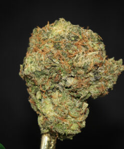 Buy Tom Ford Pink Kush Online – Weed Strain – Kush Buddy