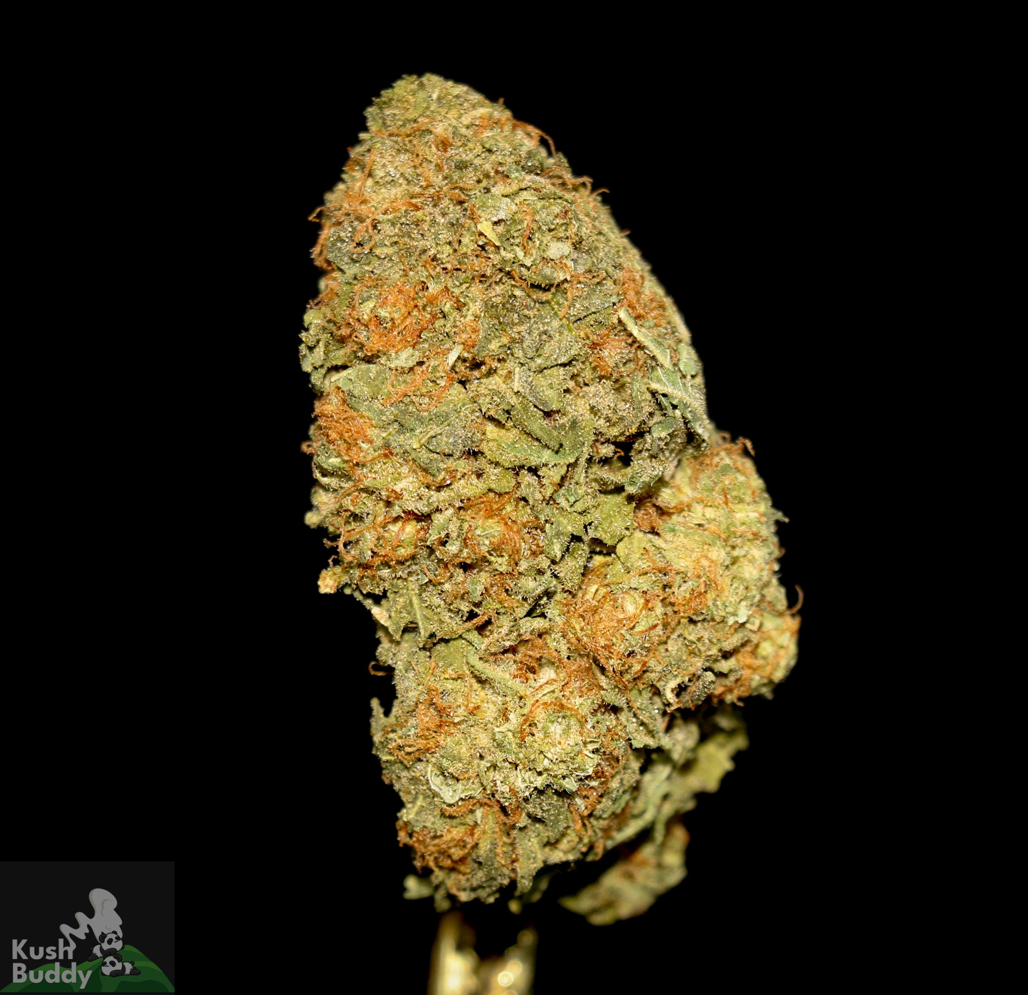 (AAA) Super Lemon Haze – Buy Weed Online – Kush Buddy