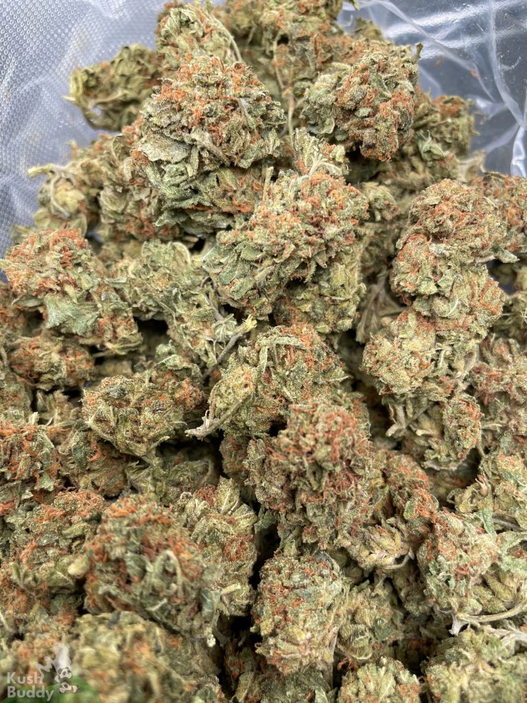 Buy Pink Tuna Online – Weed Strain – Kush Buddy